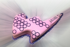 tortas-fondant-adolescentes-grupo-musical-the-killers